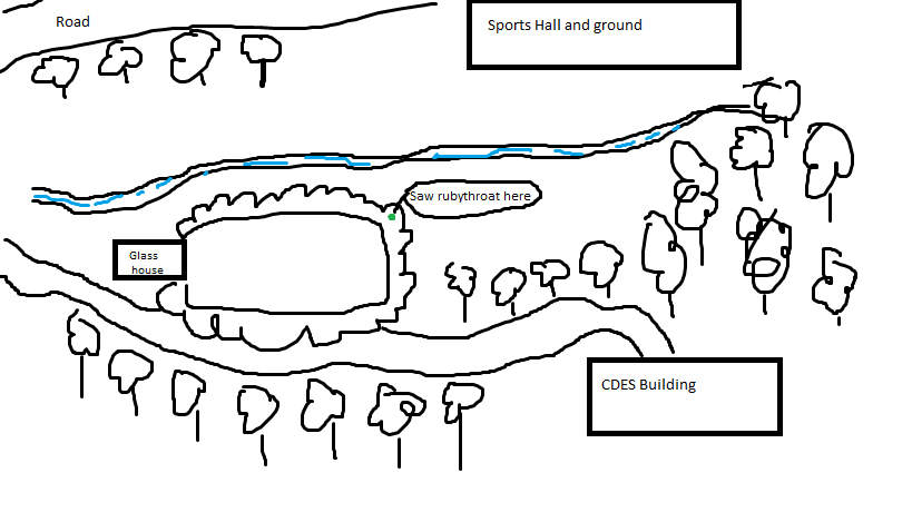 Treasure Hunt in the Bush