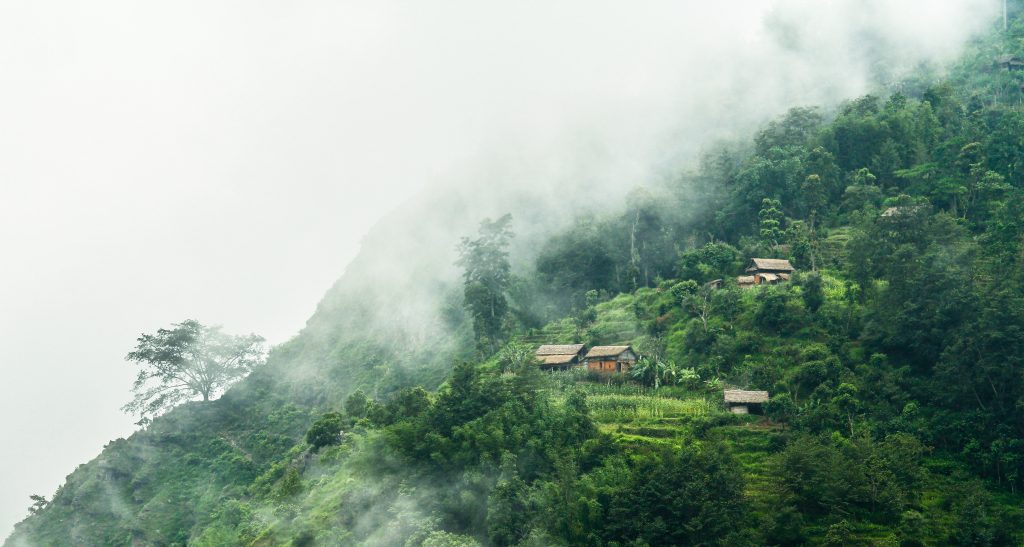 Monsoon