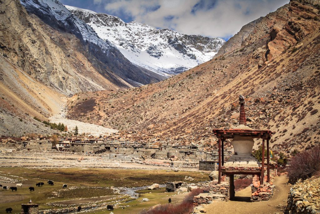 Halji village in Limi Valley