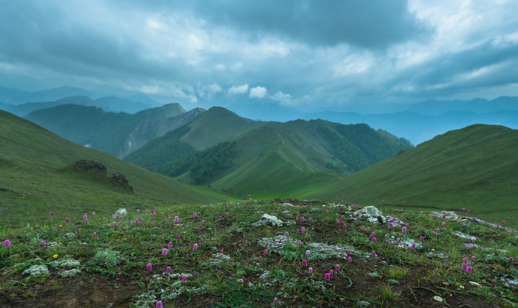 Chuchemara on the way to Rara