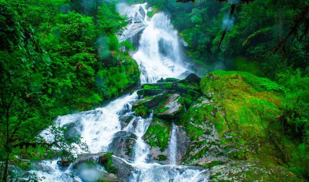 Monsoon in GCAP