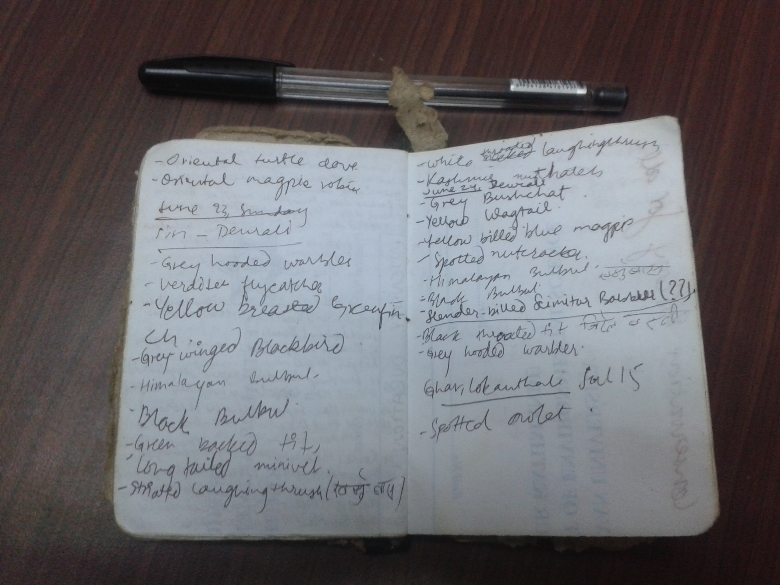 Why you should carry a notebook and record everything you see?